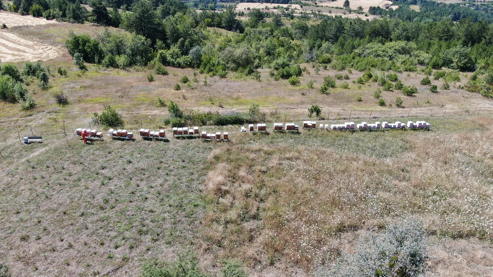 Kastamonu'da bal hasadı tamamlandı