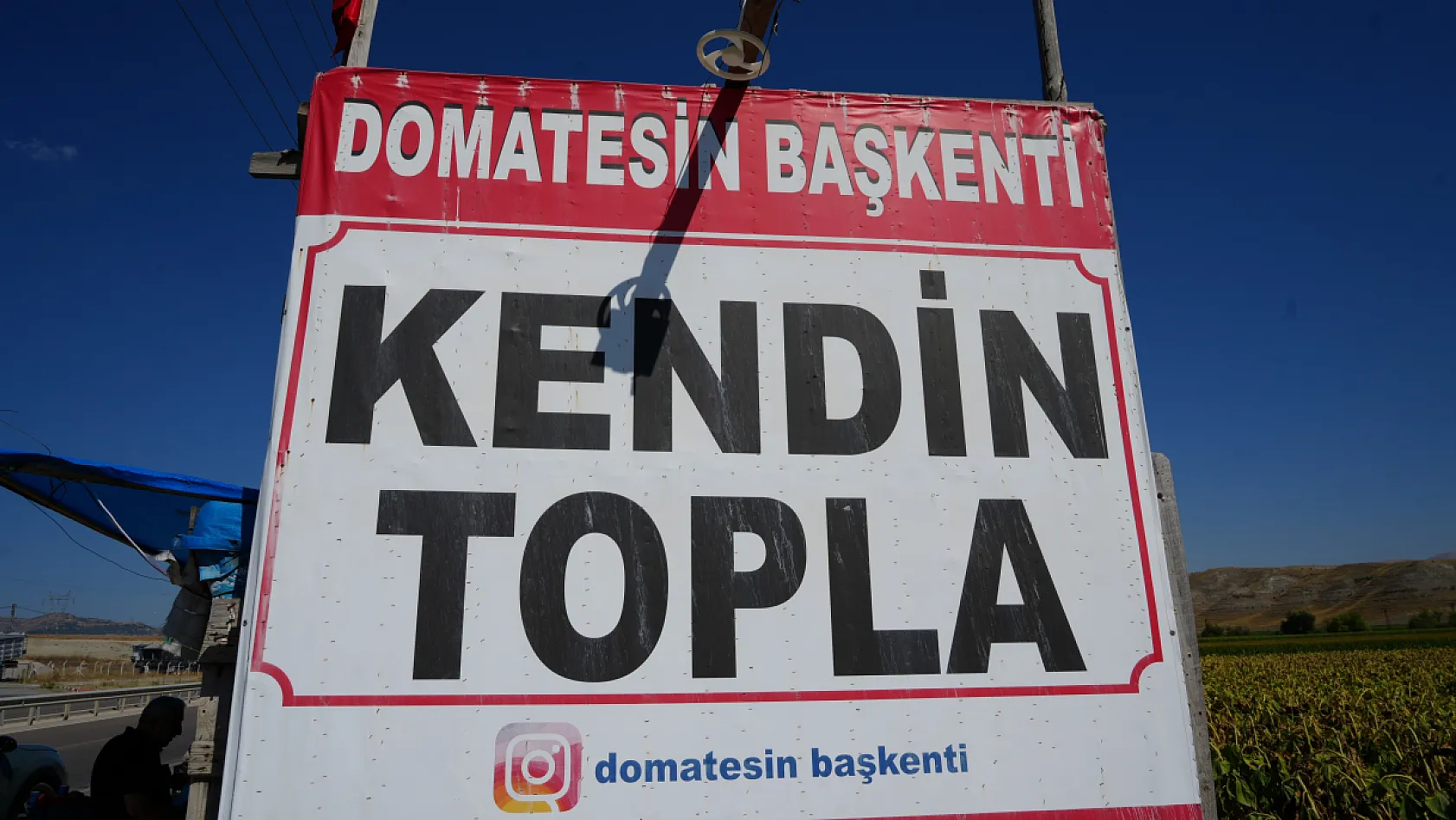 Tarlaya gelen kendi topluyor, üreticiden doğrudan alıyor
