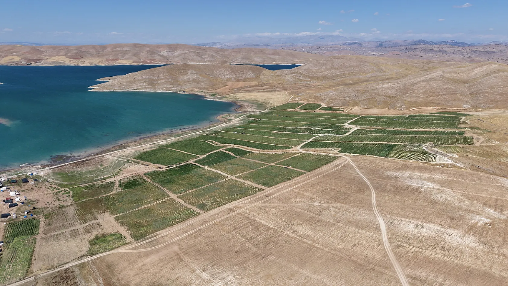 Elazığ'da 7 bin dönümde domates hasadı sürüyor