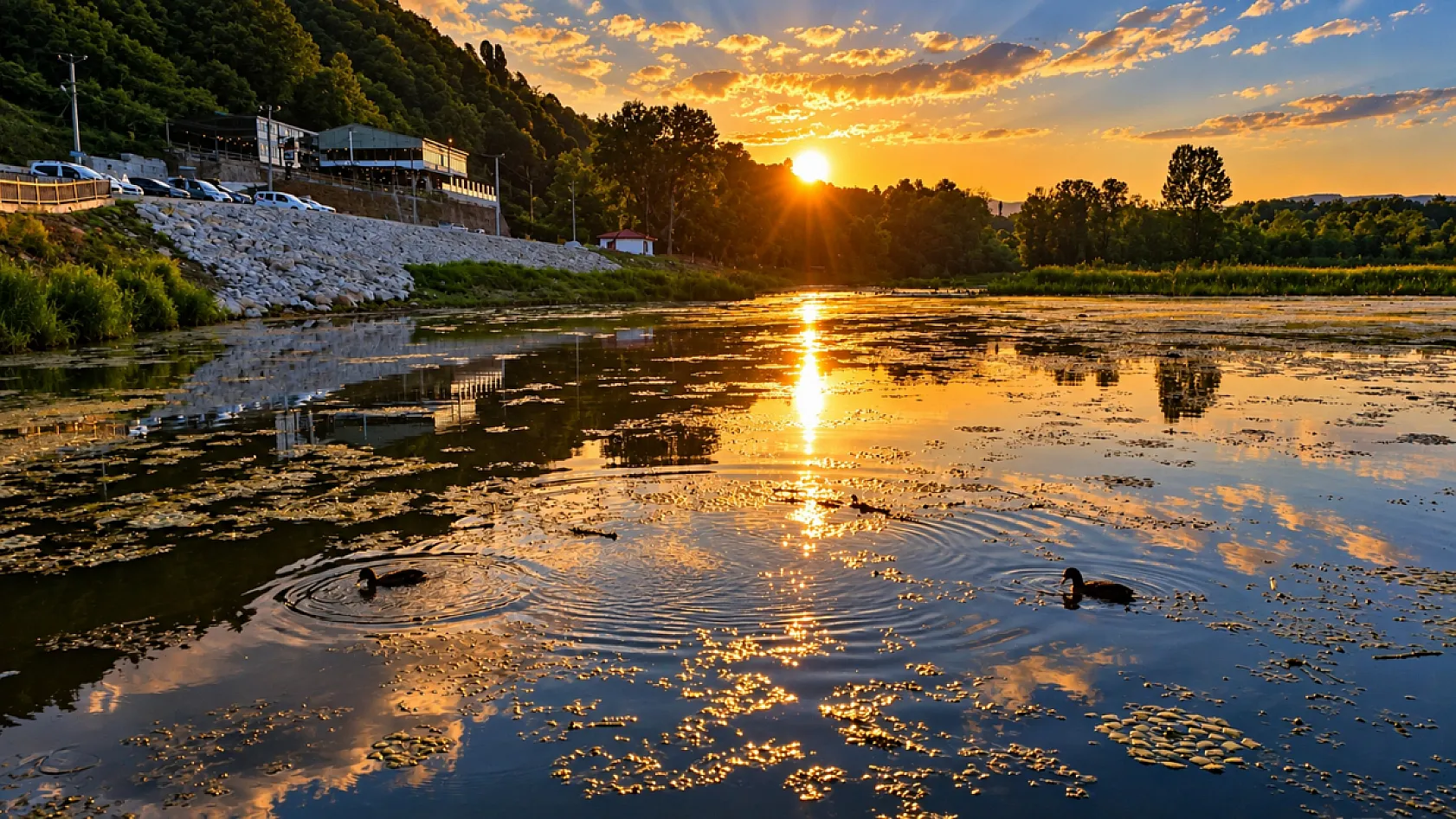 Efteni Gölü'nde gün batımında büyüleyici görüntüler