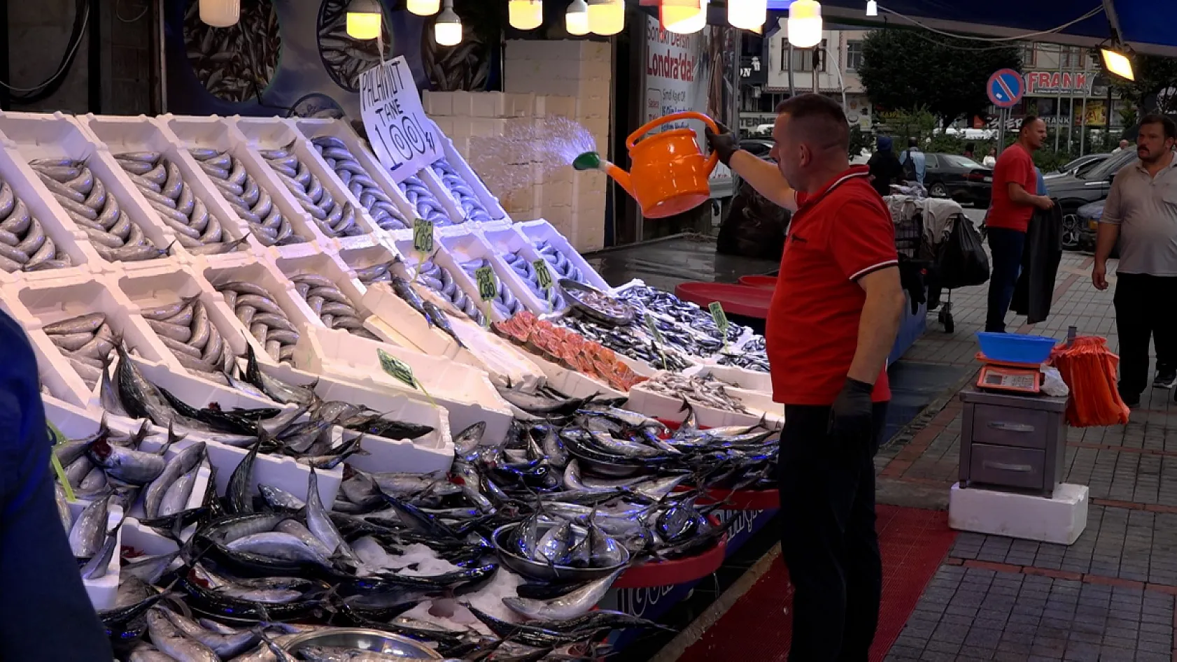 Karadeniz'de balık bereketi: Palamut ve hamsi tezgâhları hareketlendirdi