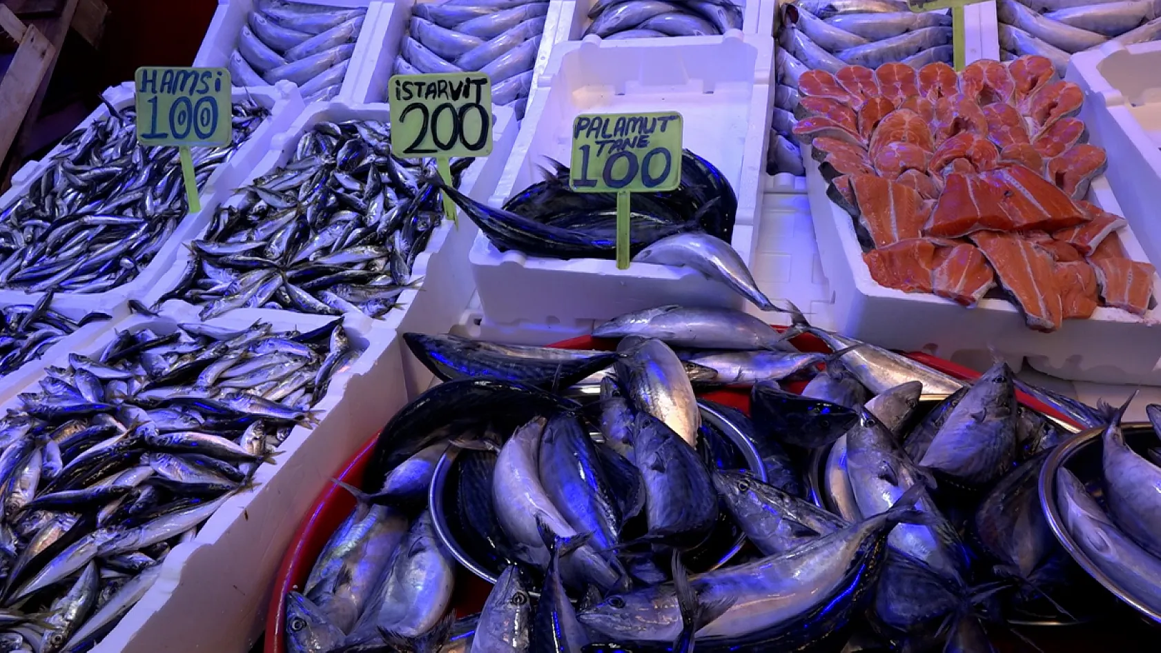Karadeniz'de balık bereketi: Palamut ve hamsi tezgâhları hareketlendirdi