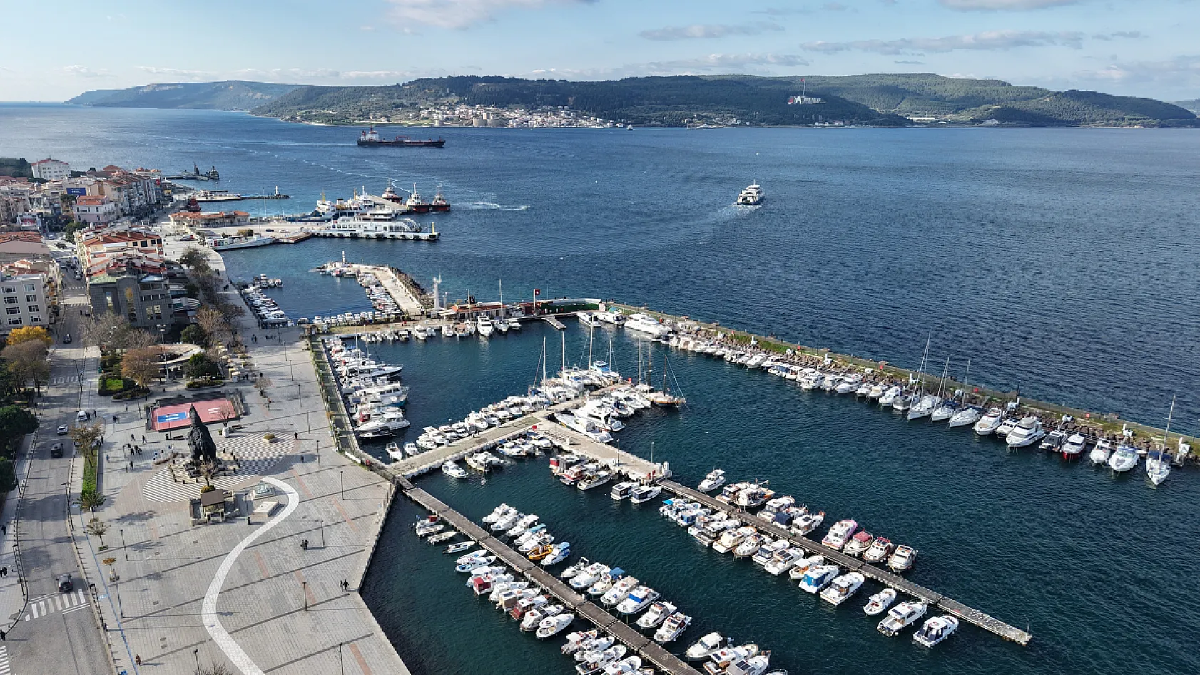 Çanakkale Boğazı'nda mavi denizanası alarmı