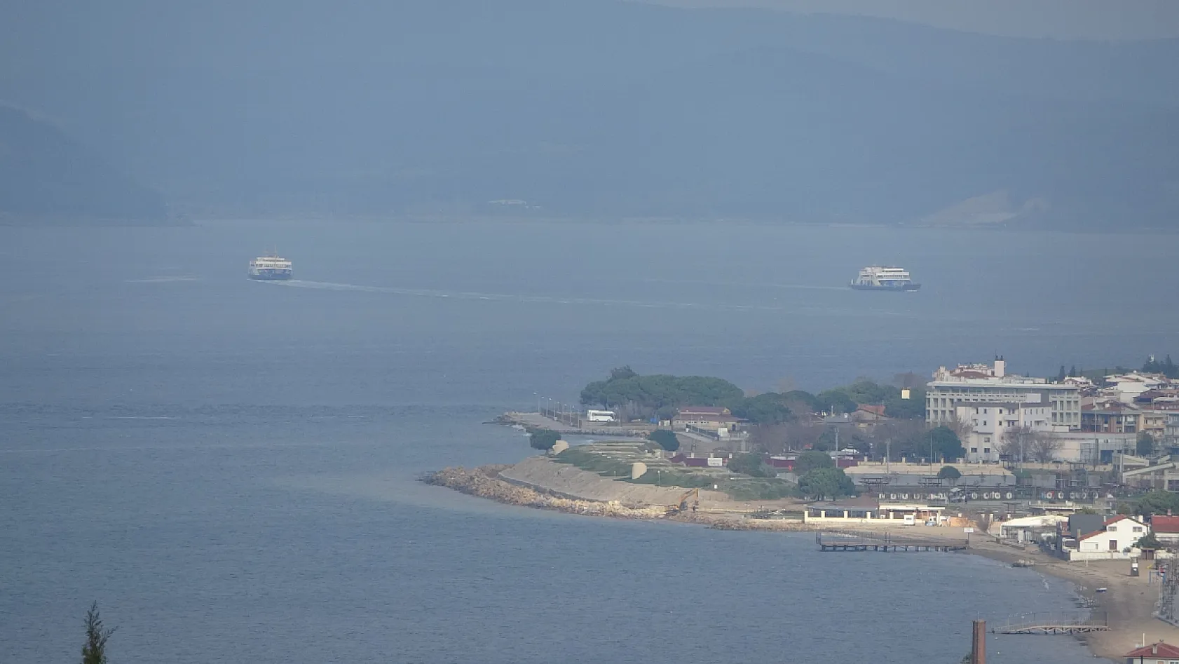 Çanakkale Boğazı'nda mavi denizanası alarmı