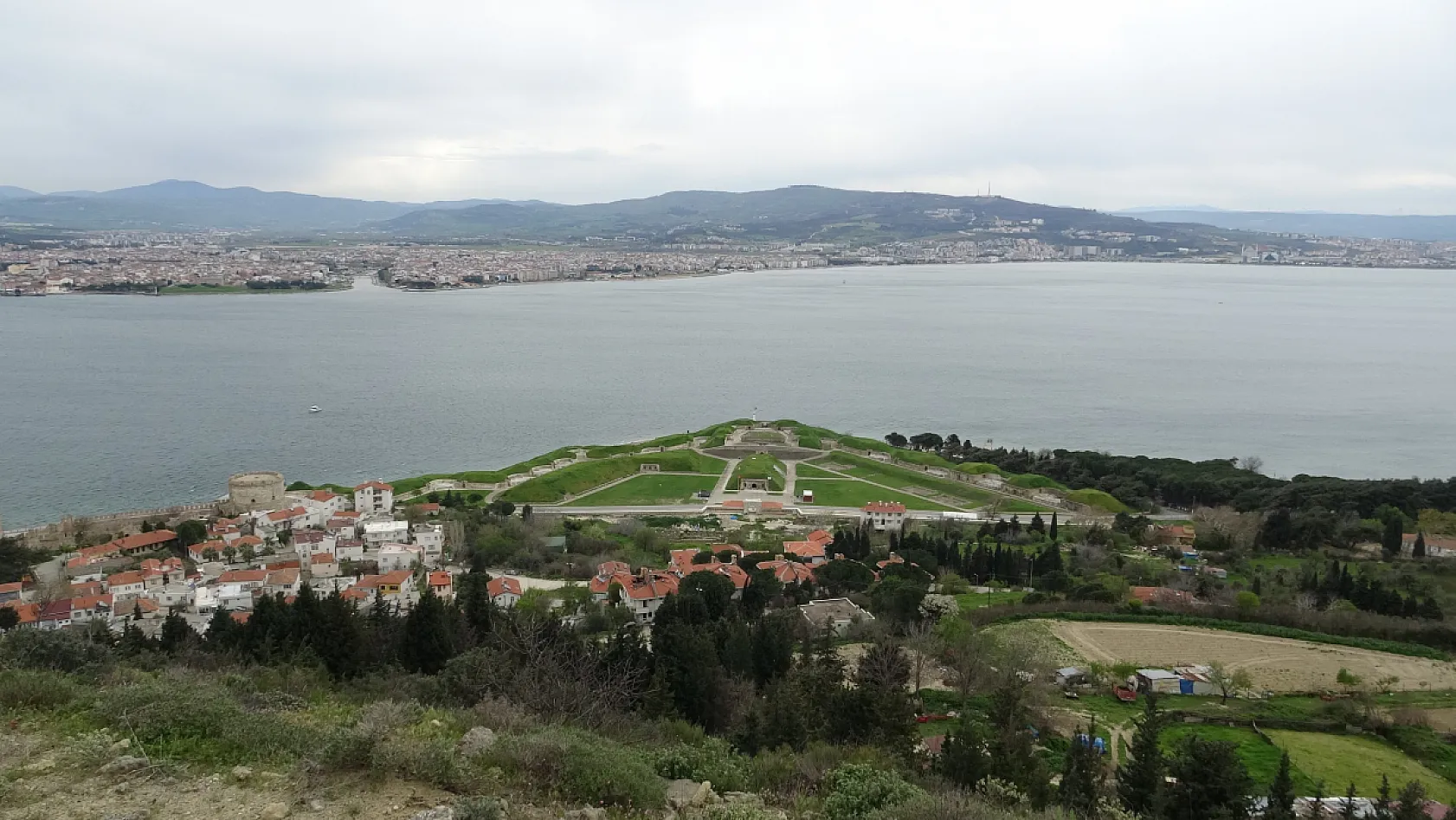 Çanakkale Boğazı'nda mavi denizanası alarmı