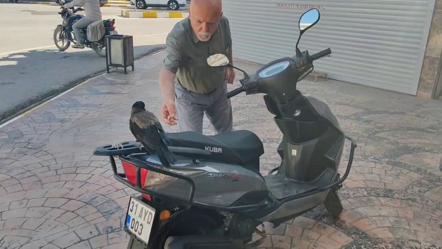 Mahallelinin beslediği karga bu kez parayı kaptı