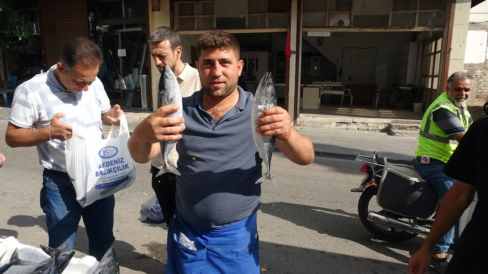 Kilis'te palamut 100 liraya düştü, balıkçı çalışanı çiğ çiğ yedi