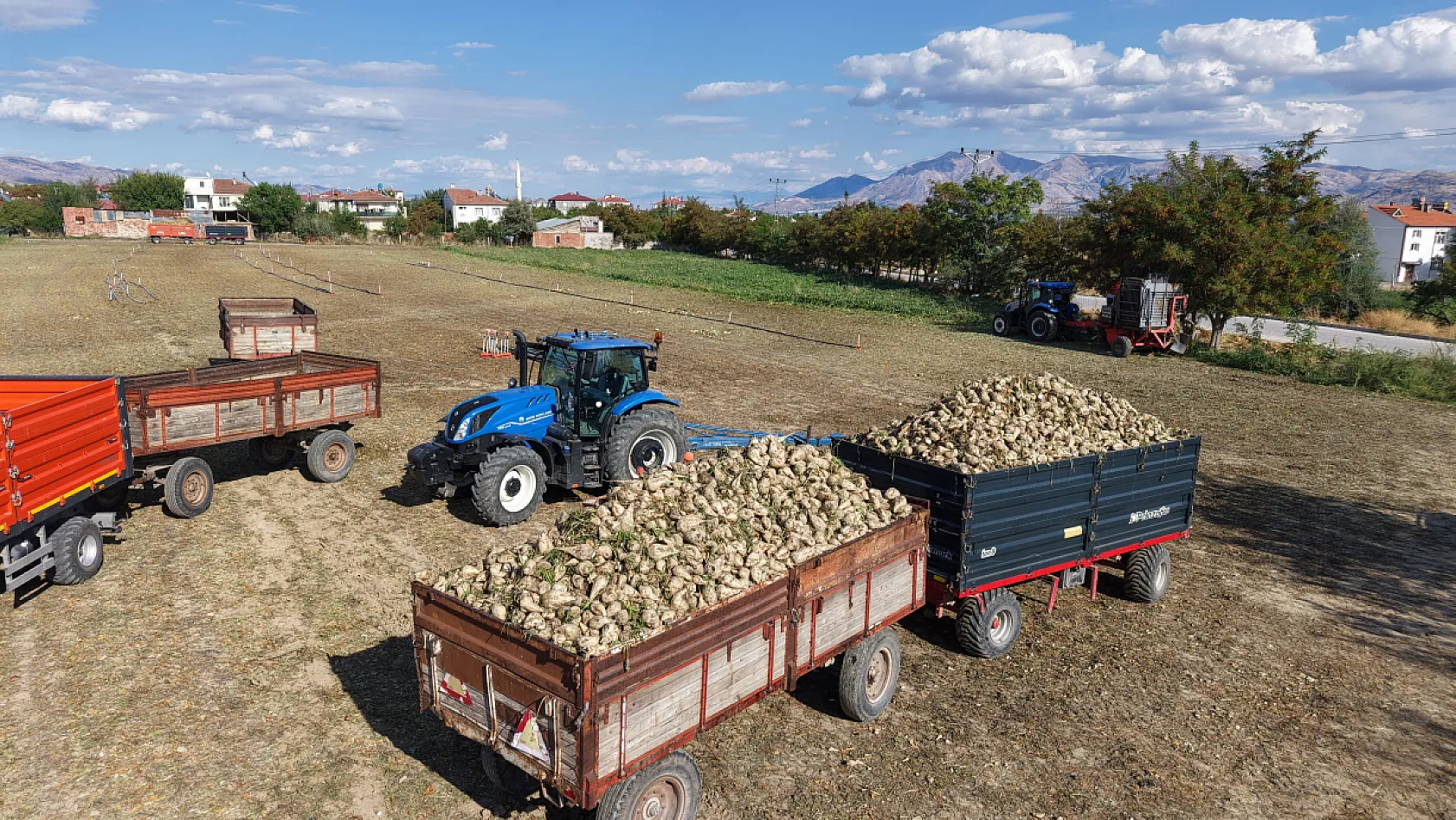 Elazığ'da pancar hasadı başladı