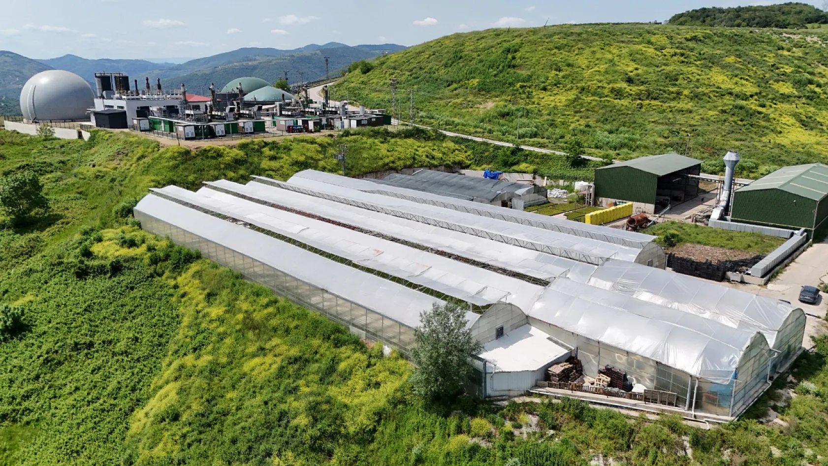 Samsun'un renk kaynakları!