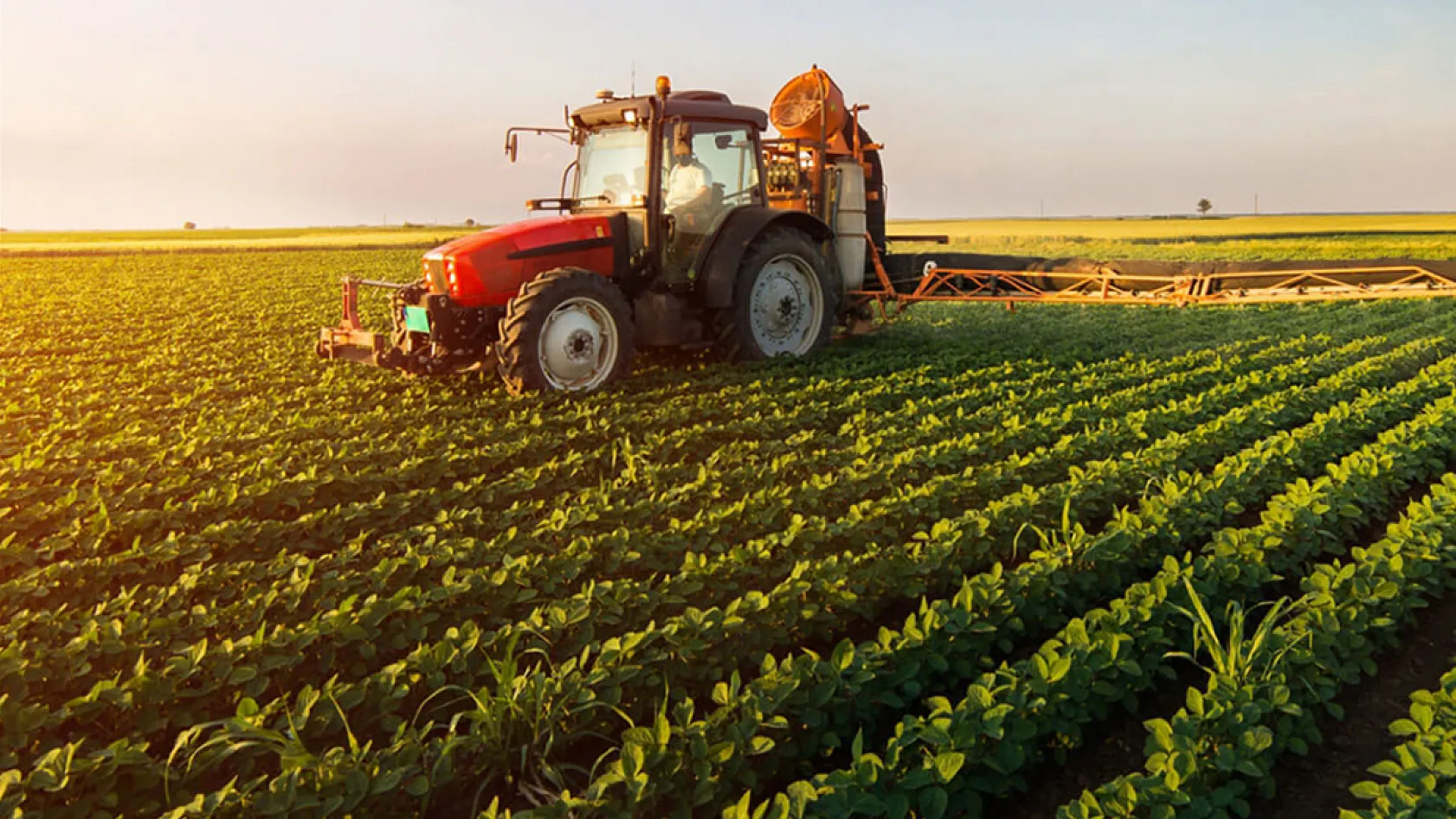 Tarımda rekor yıl: 38 yılın en yüksek yağışı ölçüldü!