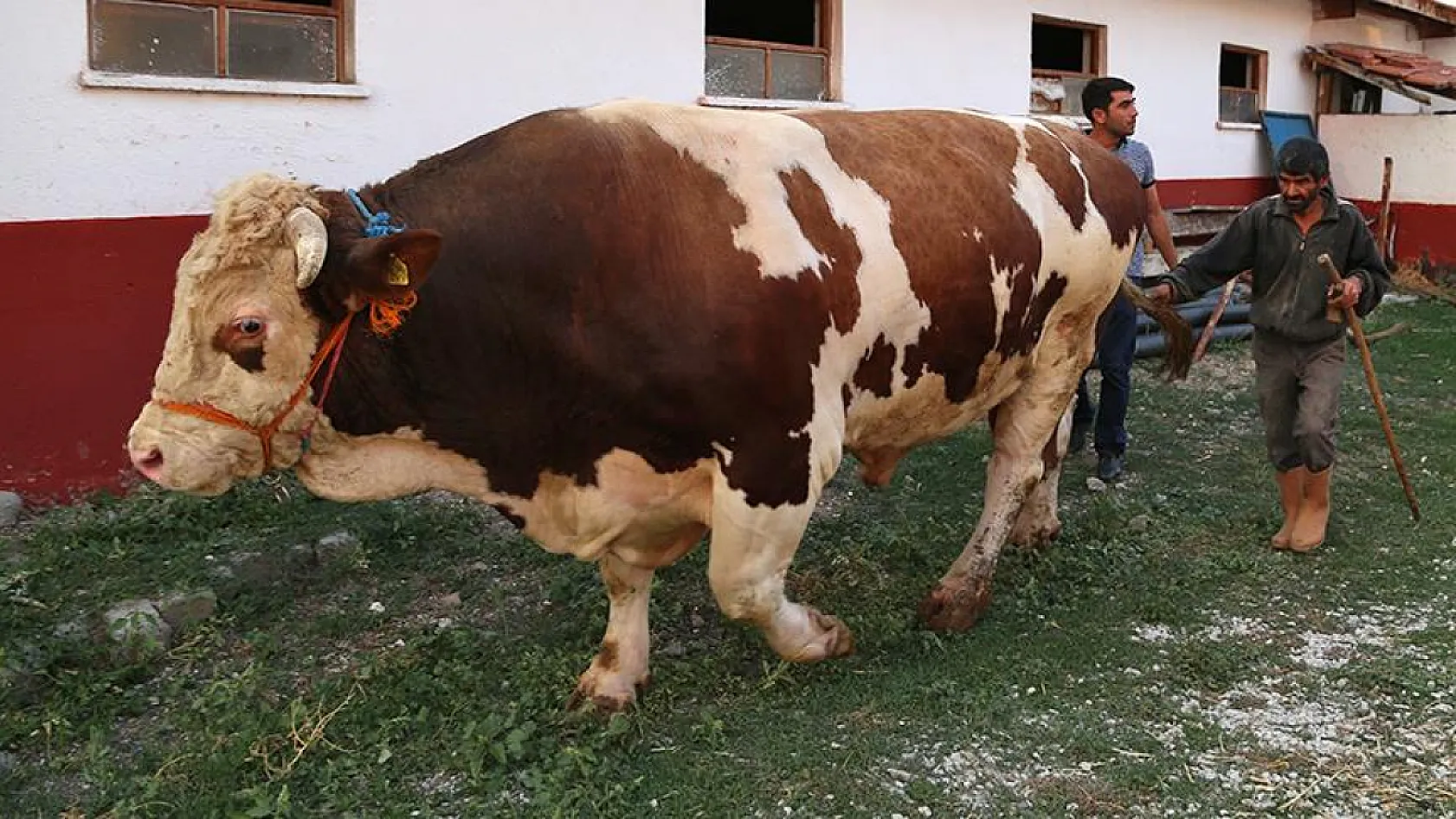 Samsun'da kurban satış ve kesim yerleri açıklandı