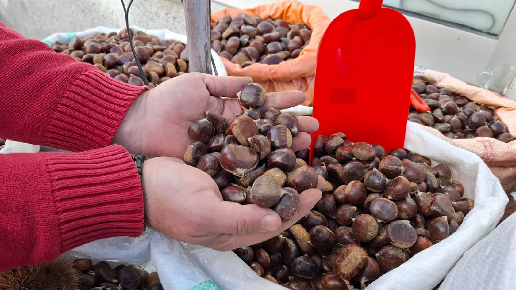 Kestane Sezonu Açıldı Peki iyi kestane nasıl anlaşılır