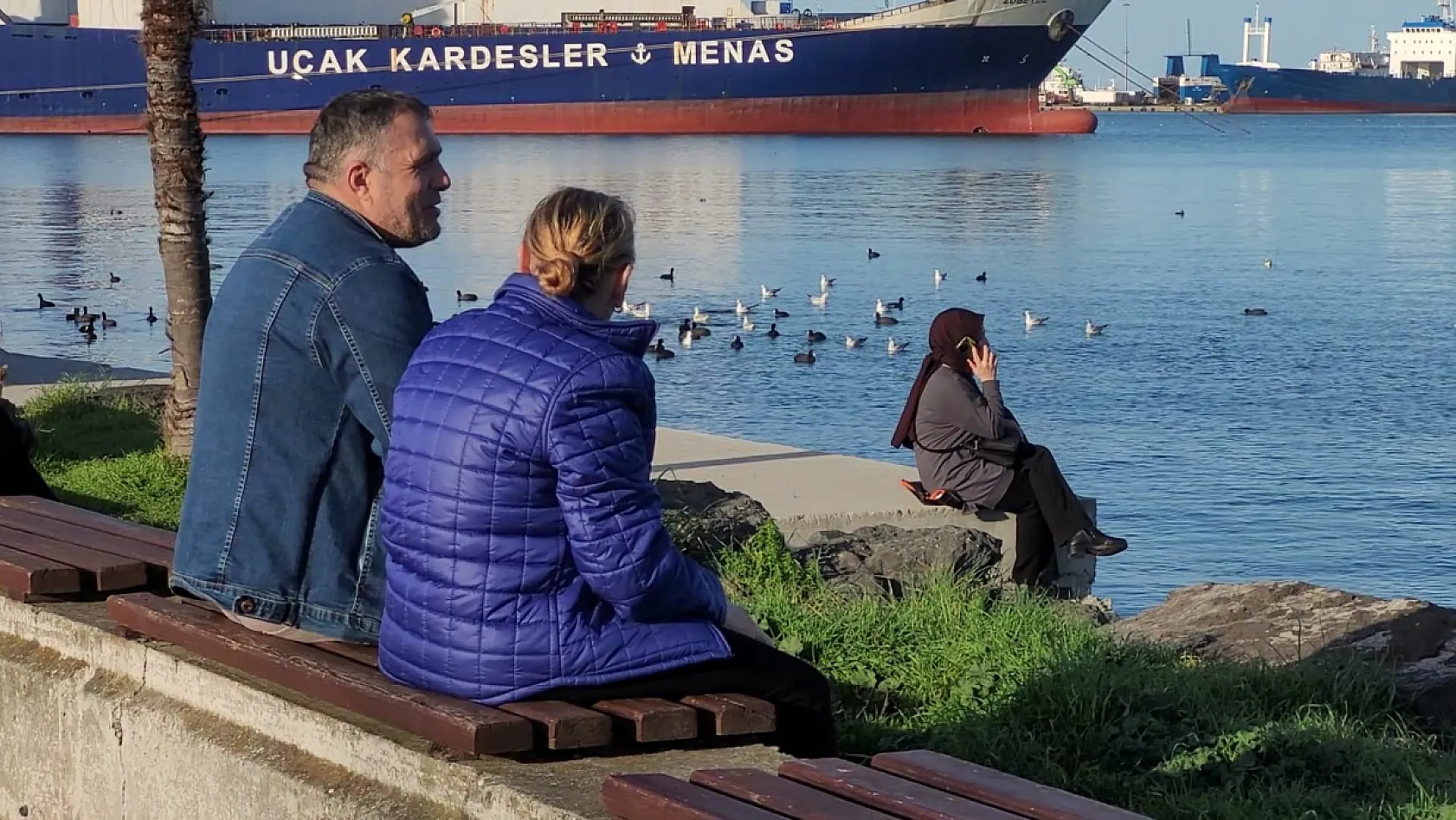 Samsun'da yabani kuşlardan görsel şölen