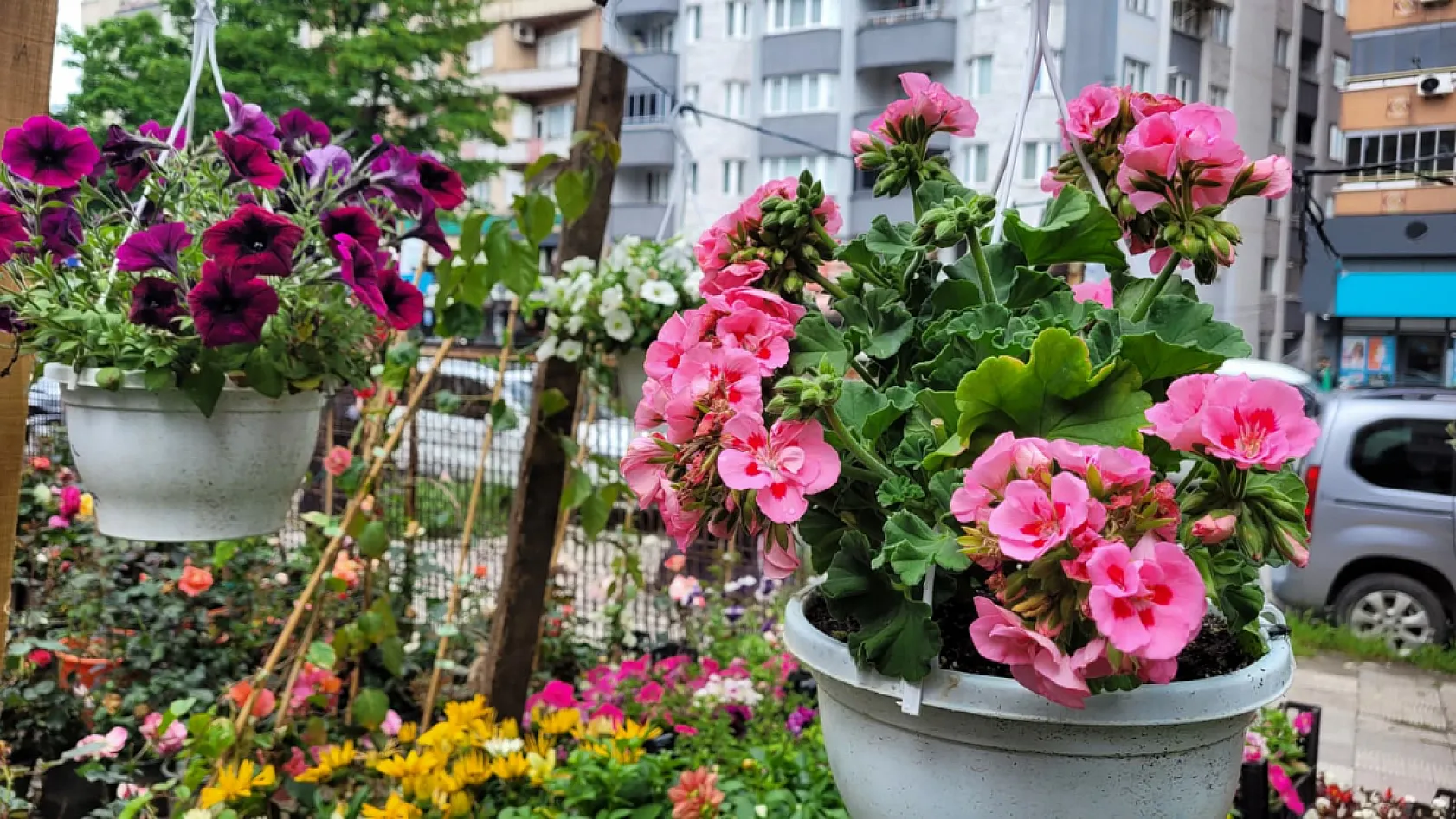 Samsun'da Bayram hazırlıkları çiçekçi esnafının yüzünü güldürdü
