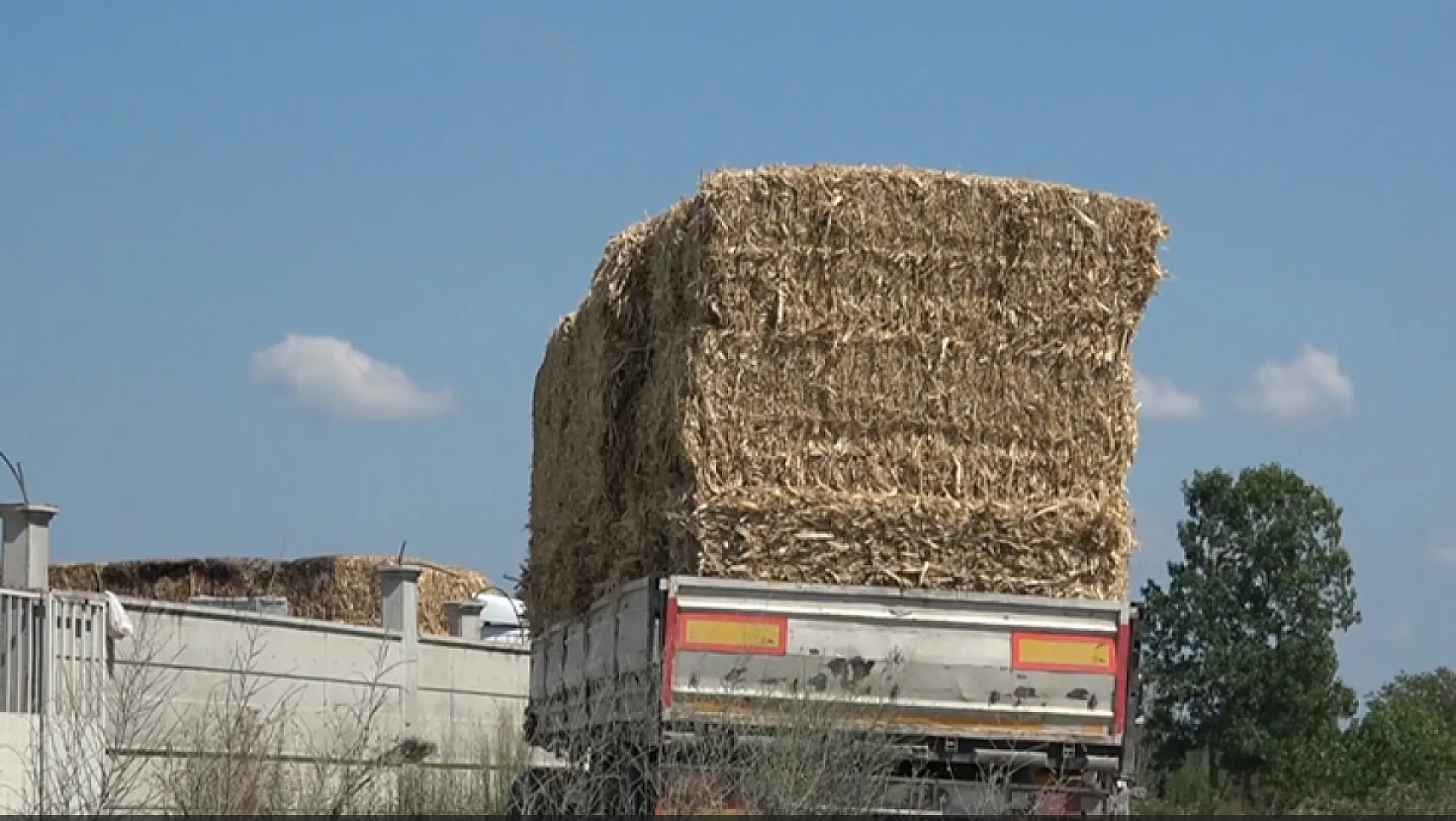 Dikbıyık'ta Biyokütle Santrali Tepkisi: