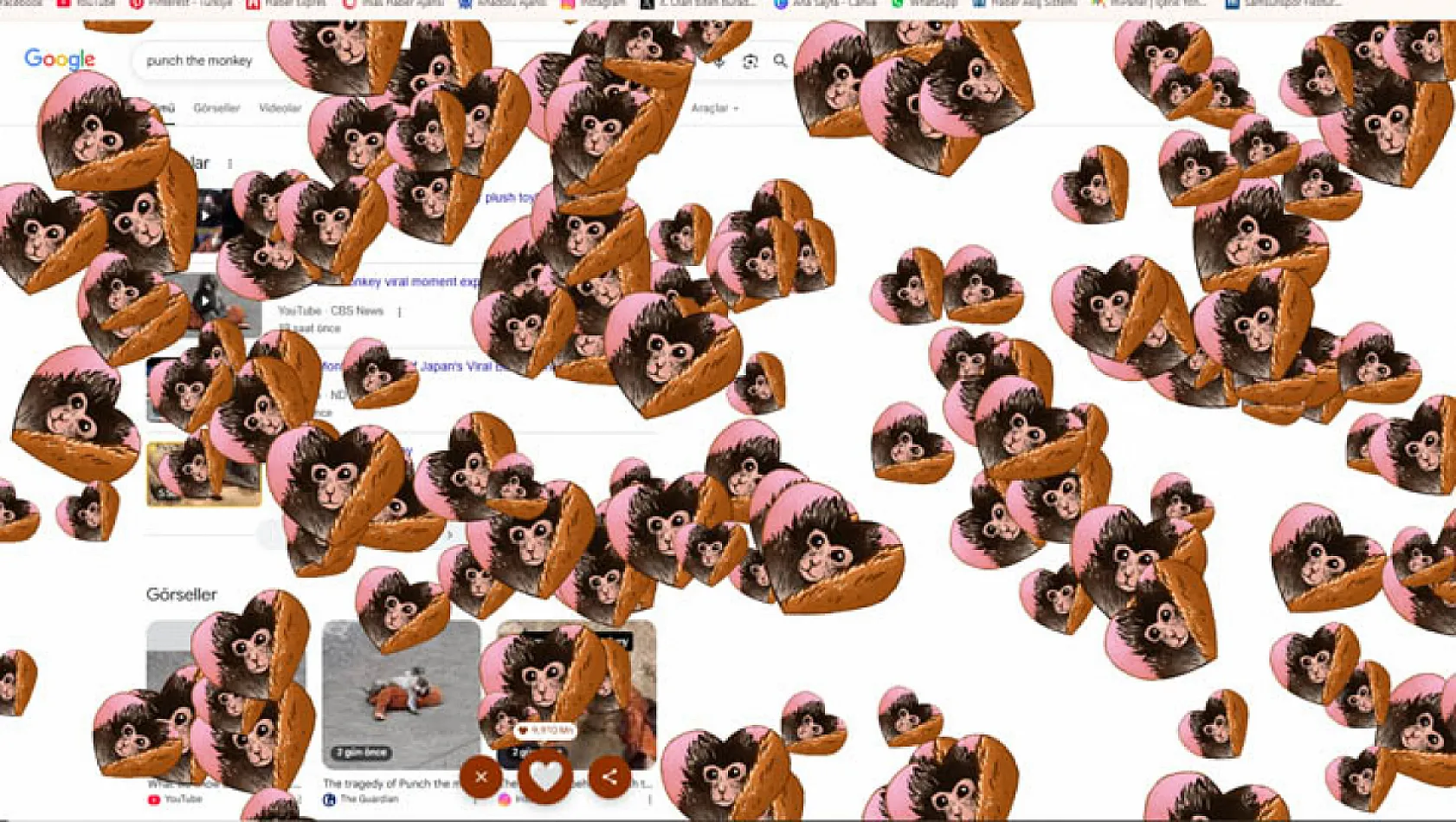 Google'da Punch the Monkey sürprizi!