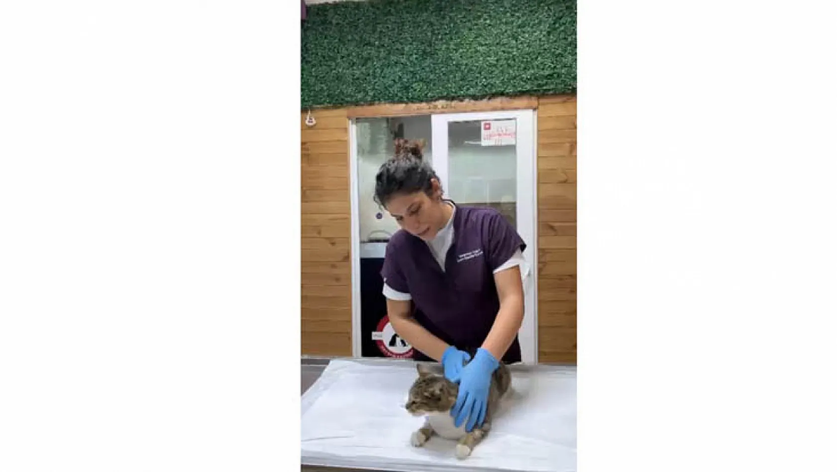 Tekkeköy'de dehşete düşüren olay! Ağaca asılı halde bulundu