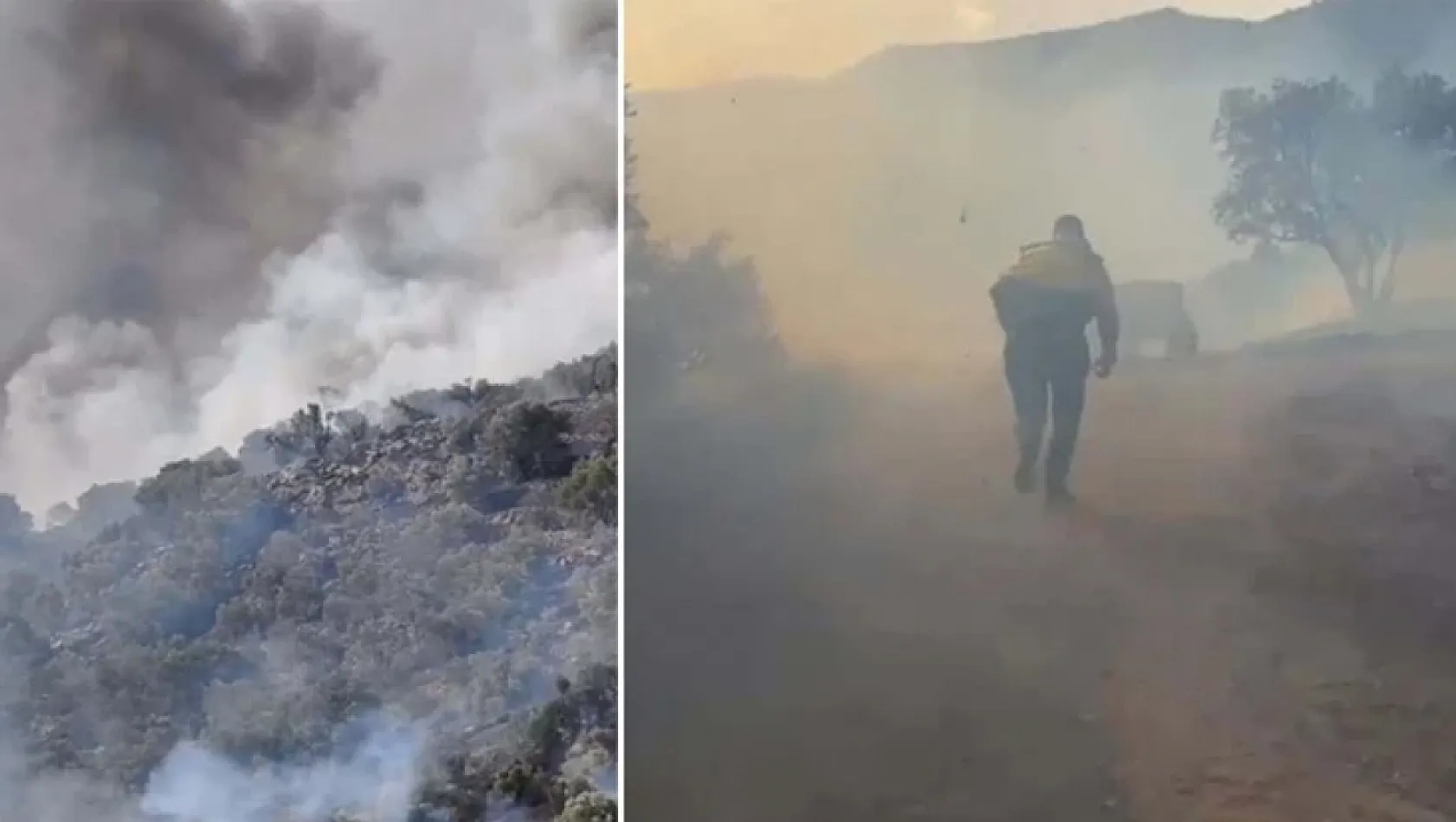 Aydın'da orman yangını! Rüzgarın etkisiyle yayıldı