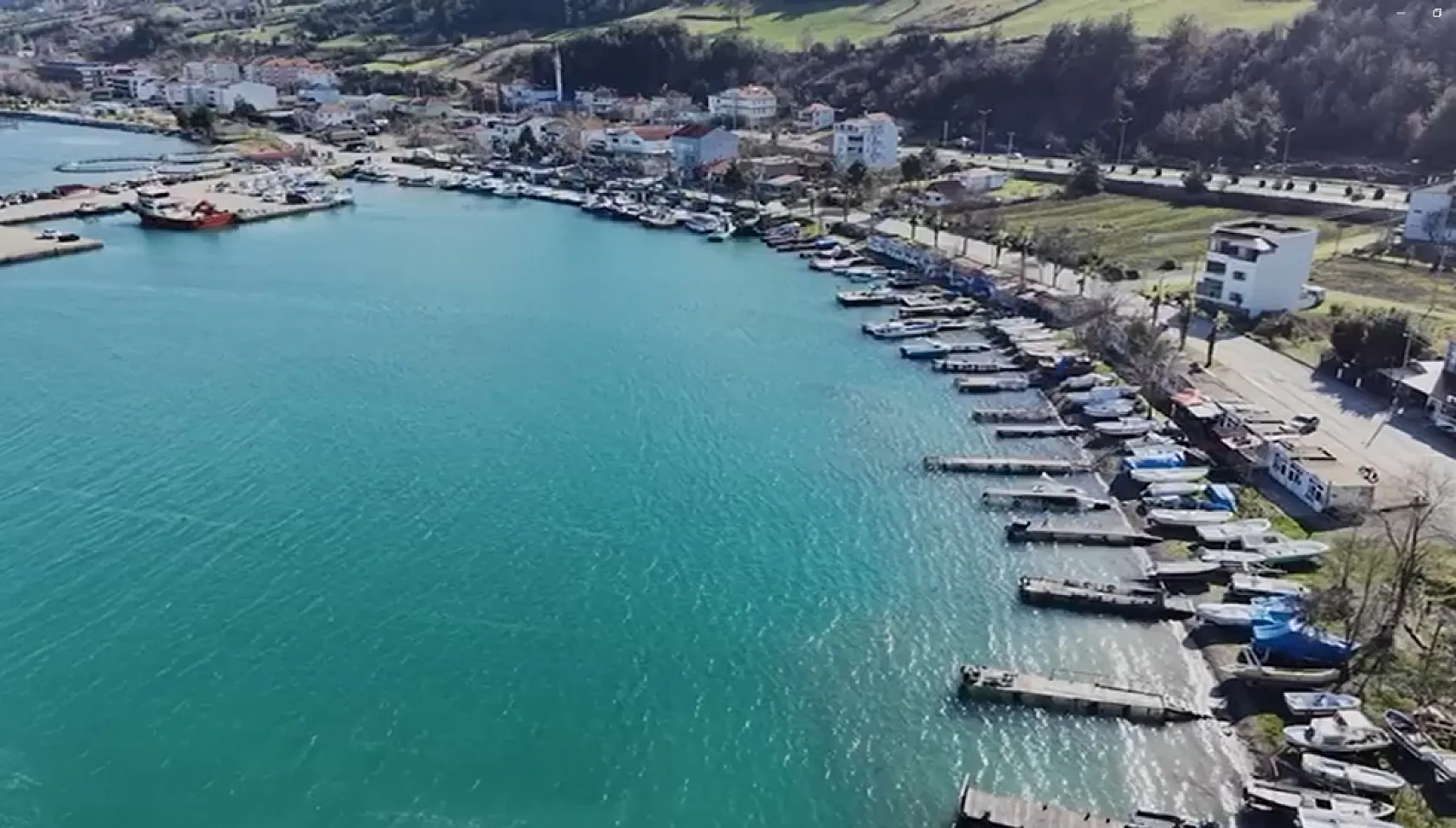 Samsun'da Türk somunu hasadı başlıyor