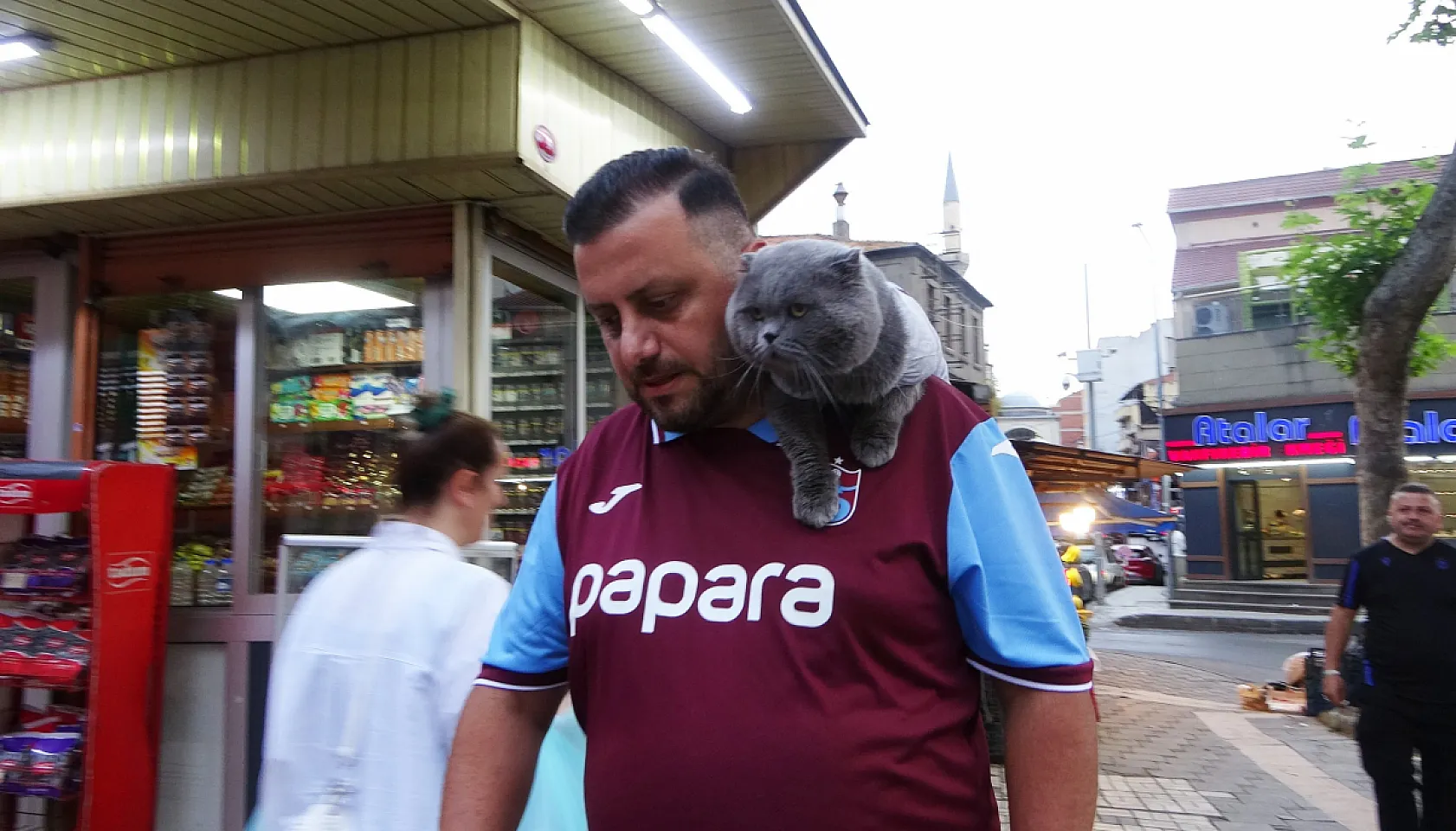 Sahibi Seferber Oldu, Kayıp Kedi Tom 4 Gün Sonra Bulundu
