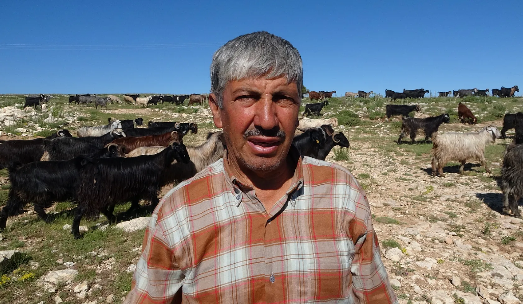 Yörüklerin yayla mesaisi başladı