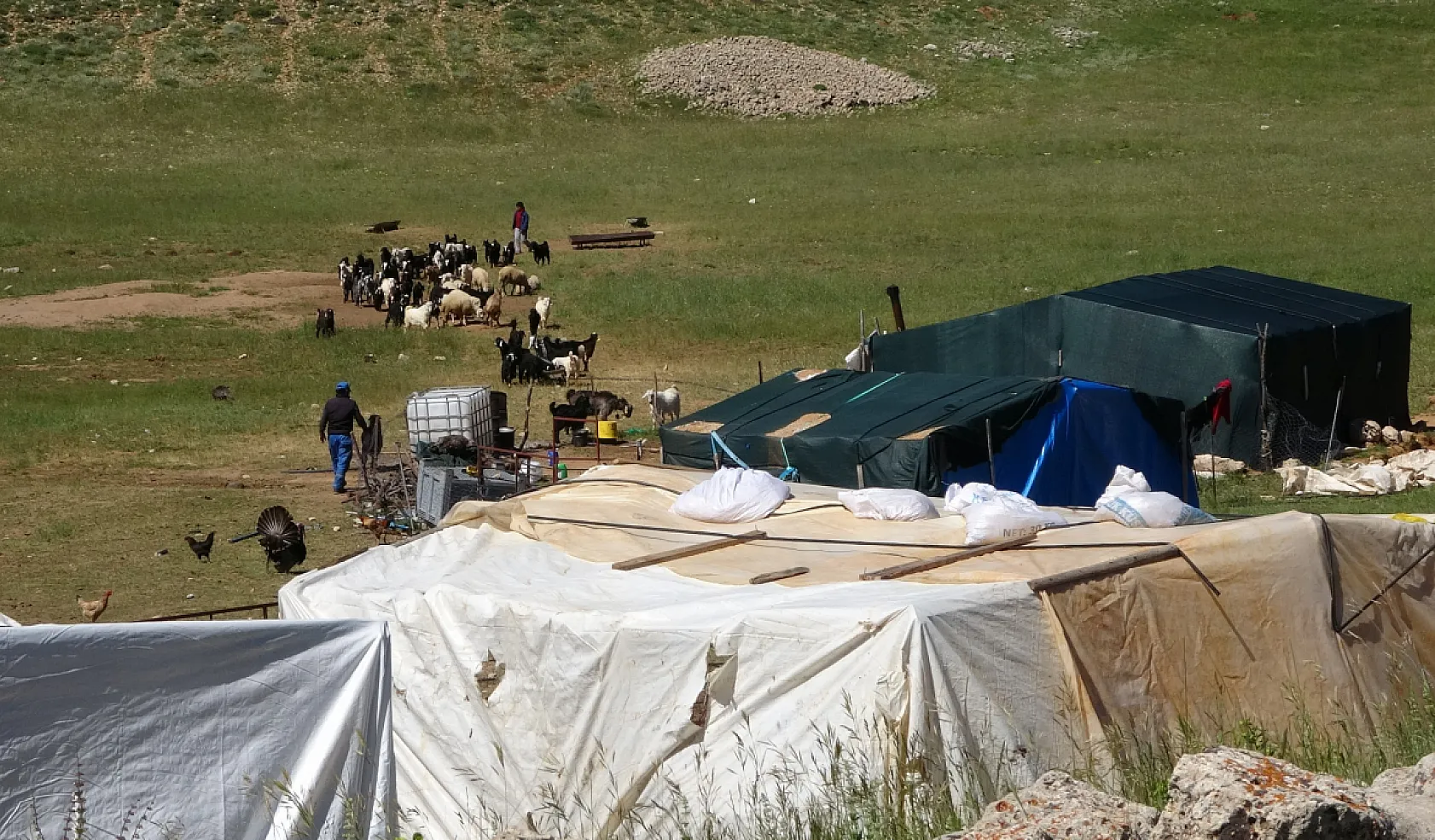 Yörüklerin yayla mesaisi başladı