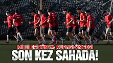 A Milli Takım Dünya Kupası öncesi son sınavına çıkıyor