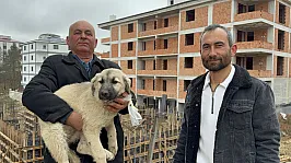 Baba ve oğuldan yavru köpek operasyonu