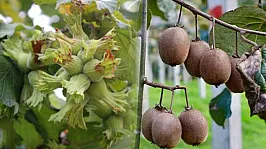 Başkan Aydemir'den üreticilere sigorta uyarısı