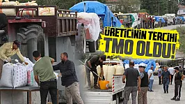 Çarşambalı üreticinin tercihi TMO oldu