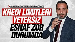 Eyüp Aydın, 'Kepenk kapatma oranı yüzde 10 civarında'