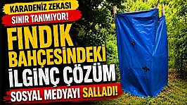 Fındık bahçesindeki ilginç çözüm sosyal medyada ilgi odağı oldu