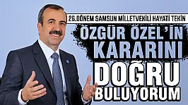 Hayati Tekin, 'Meclis'te olsaydım hayır oyu kullanırdım'