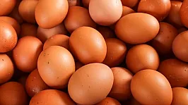 Kahverengi Yumurtalar Raflardan Kayboluyor