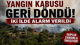Yangın kabusu geri döndü: İzmir ve Bursa'da alevler ormanlık alana ulaştı