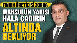 BBP Çarşamba İlçe Başkanı Akbulut, 'Fındık üreticisinin kredi borçları ertelenmeli'