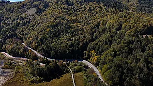 Bolu'da ormanlara girişler 30 eylül'e kadar yasaklandı