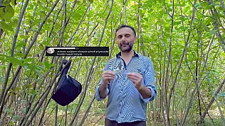 Murat Bulut'tan fındık bahçesinde güldüren video