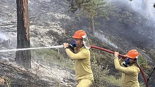 Orman yangınına havadan ve karadan müdahale