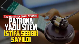 Patronuna sitem dolu e-posta gönderdi, tazminatını kaybetti