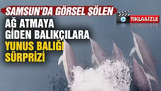 Samsun'da ağ atmaya giden balıkçılara yunus balığı sürprizi
