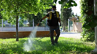 Samsun'da vektör kaynaklı risklere karşı ilaçlamalar sürüyor