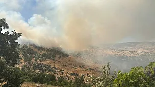 Tarım ve Orman Bakanı'ndan kritik yangın çağrısı