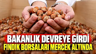 Ticaret Bakanlığı fındık borsalarında kapsamlı denetim başlattı