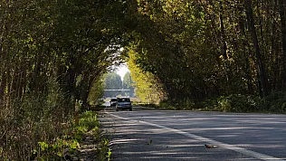 Tokat'ta kavak ağaçları sonbahar tüneli oluşturdu