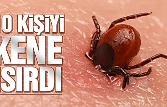 10 Kişi Kırım Kongo Kanamalı Ateşine yakalandı