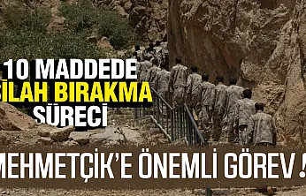 10 Maddede Silahsızlanma Süreci: Tüm Silah ve Ekipmanlar Teslim Edilecek