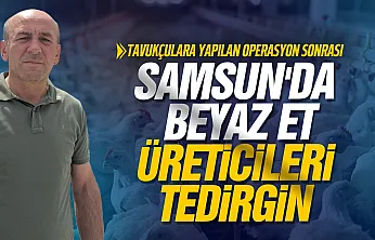 13 şirkete kayyum Samsun'da üreticiyi tedirgin etti