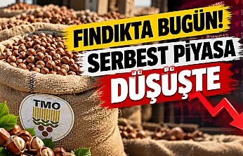 17 Ekim serbest piyasa fındık fiyatlarında son durum