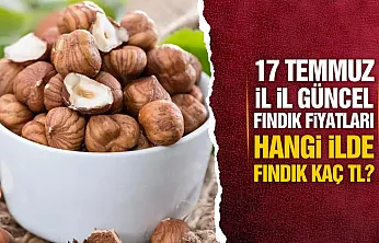17 Temmuz İl İl Güncel Fındık Fiyatları: Serbest Piyasada Son Durum Ne?